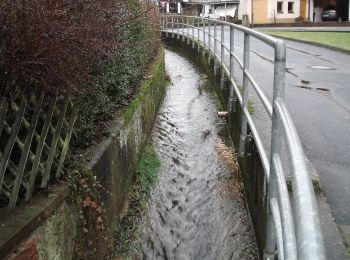 Percorso A piedi Partenstein - Ortswanderweg Partenstein 7 - Photo