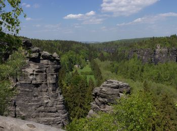 Excursión A pie Bad Gottleuba-Berggießhübel - Blauer Strich - Photo