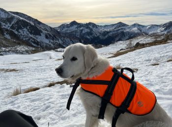 Randonnée Raquettes à neige Isola - Tête Mercière  - Photo