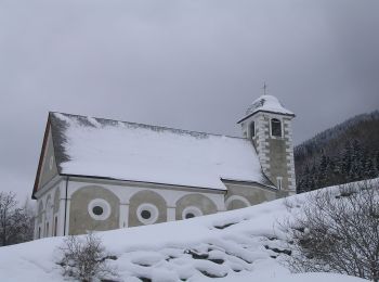 Tour Zu Fuß Disentis - Senda Desertina - Photo