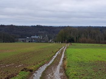 Tocht Stappen Marchin - Marche ADEPS Vyle-Tharoul 15 Km - Photo