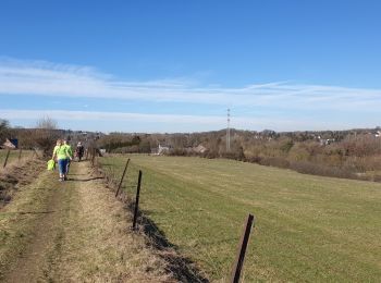 Tocht Stappen Montigny-le-Tilleul - Marche Adeps à Montigny-le-Tilleul - Photo