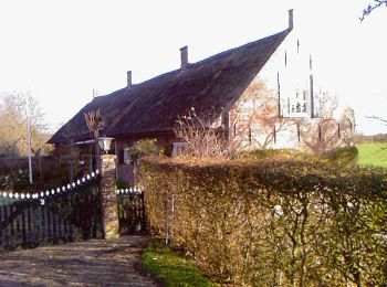 Trail On foot Hoeksche Waard - Sint Anthoniepolderroute - Photo