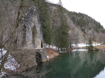 Tour Mountainbike Chamonix-Mont-Blanc - CHAMONIX... vers le lac des Gaillands.  - Photo