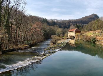 Percorso A piedi Baume-les-Dames - La Croix de Châtard - Photo