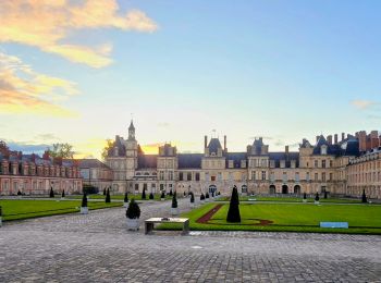 Tocht Te voet Fontainebleau - Rando des trois châteaux parcours 42 km Fontainebleau Vaux le vicomte Blandy les tours - Photo