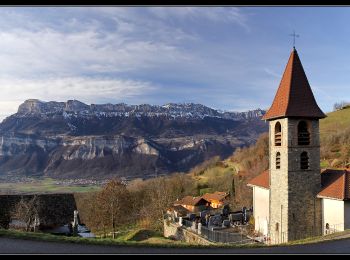 Randonnée Marche Les Adrets - Crêt de Chazay - Photo