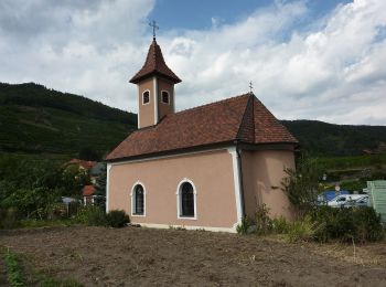 Randonnée A pied Gemeinde Spitz - Welterbesteig Wachau Etappe 4 - Photo