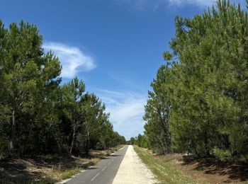 Excursión Bicicleta híbrida Vendays-Montalivet - Montalivet - Talais - St Vivien - Vensac- Montalivet - Photo