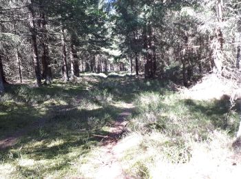 Randonnée Marche Araules - le sentier de Bonas - Photo