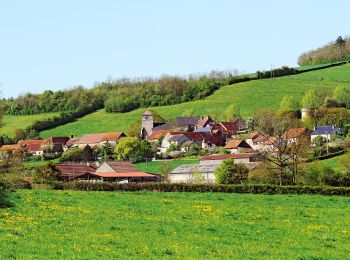 Tocht Te voet Vic-sous-Thil - Les Trois Buttes - Photo