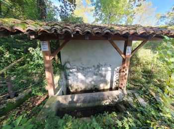 Randonnée Marche Pérouges - Pérouges-La Boucle de Pérouges - Photo