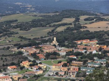 Tour Zu Fuß Monte/Monti - (SI Z06) Monti – Caserma Forestale Bolostiu - Photo