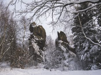 Trail On foot Węglówka - Polski Teksas - Ścieżka geologiczna Wzdłuż Czarnego Potoku - Photo