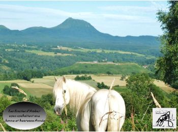 Percorso Equitazione Saint-Jacques-d'Ambur - ST JACQUES / LE ROCHER DU SOLDAT /  ST JACQUES 32 KMS - Photo