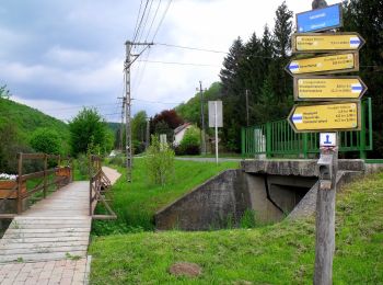 Tocht Te voet Bakonybél - K+ (Bakonybél - Ugod) - Photo