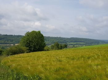 Randonnée Marche Nolléval - Morville sur Andelle  - Photo