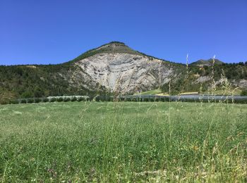 Tocht Mountainbike Veynes - Cols de Villauret et des Priourets - Photo