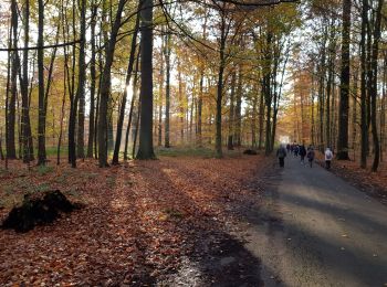 Tour Wandern Sint-Genesius-Rode - Rhode St Genèse 1119 - Photo