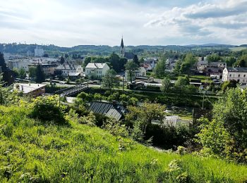 Tour Zu Fuß Trautenau - [Z] Bohuslavice n. U - Lhota - Photo