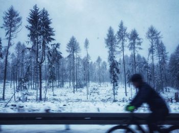 Percorso A piedi Taunusstein - Rundwanderweg Keiler - Photo