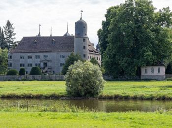 Tour Zu Fuß Hehlen - HE2 Wanderung Sievershagener Tal und Övelgönner Hochplateau - Photo