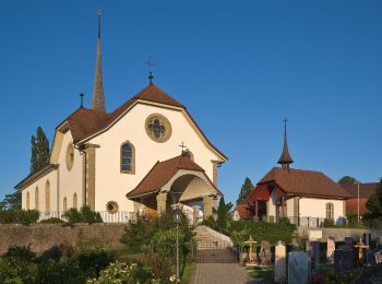 Excursión A pie Bösingen - Bösingen - Schmitten Station - Photo