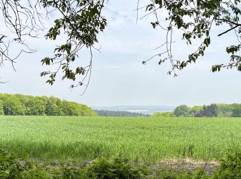 Tour Wandern Ormoy-le-Davien - 290422 - Boucle Ormoy le Davien - au dessus de Chavre - Photo