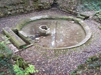 Trail Walking Santeuil - Lavoir de Gouline - Photo