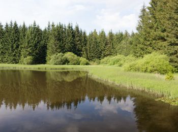 Tour Zu Fuß Geroldsgrün - Floßteichweg DÖ 90 - Photo