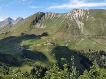 Trail Walking Le Grand-Bornand - Pointe percée - Photo