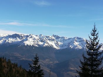 Tour Wandern Plateau-des-Petites-Roches - col du coq - Photo