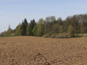 Tocht Te voet Červená Řečice - [Ž] Červená Řečice - Na vyhlídce - Photo