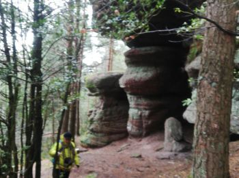 Trail Walking Rombach-le-Franc - Col de Fouchy - Photo
