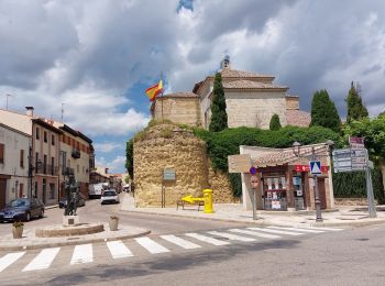 Trail Walking Boadilla del Camino - 2023 16 carrion - Photo