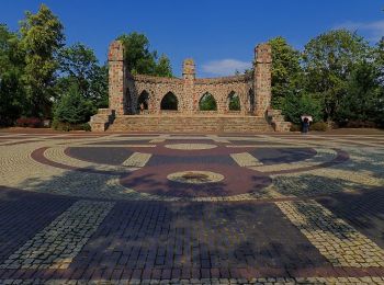 Excursión A pie Olecko - Wiewiórcza Ścieżka - Photo