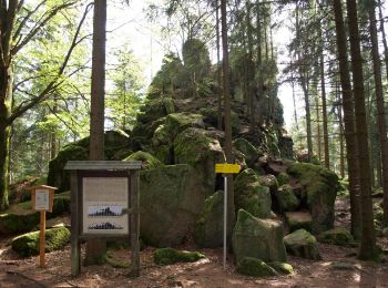 Percorso A piedi Sankt Oswald bei Freistadt - Panoramaweg - Mitterbach - Photo