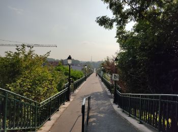 Tour Wandern Saint-Cloud - Les coteaux de St Cloud et les rives de la Seine - Photo