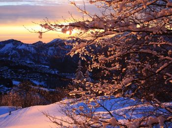 Tocht Te voet Gazzaniga - Sentiero 521: Rova (Gazzaniga) - Monte Cornagera - Photo