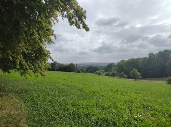 Randonnée Marche Bellou-le-Trichard - Bellou le Trichard - Photo