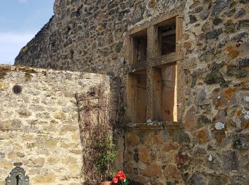 Trail Walking Ternand - 2022-04-07_21h47m08_Ternand_V2 - Photo