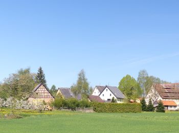 Tocht Te voet Simmelsdorf - Simmelsdorfer Rundwanderweg Blau 4 - Photo