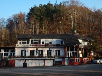 Tocht Te voet Eußerthal - Mönchsweg - Photo