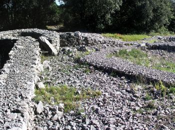 Randonnée A pied Viols-le-Fort - Circuit des dolmens de Viols-le-Fort à Cantagrils - Photo