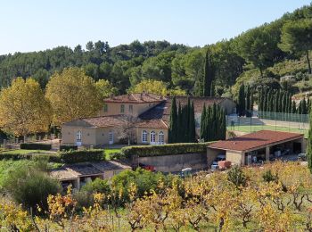 Trail Walking La Cadière-d'Azur - boucle plan du castellet novembre 2019 - Photo