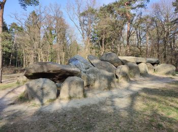 Trail Walking Emmen - Hunebed D45 - Photo