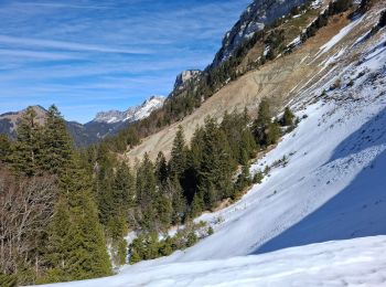 Trail Walking Saint-Pierre-de-Chartreuse - Pravouta le 3 3 25 - Photo