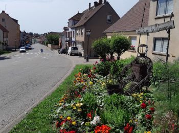 Randonnée Vélo de route Rohrbach-lès-Bitche - EXT35 Rohrbach les Bitche-02 - Photo