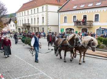 Tour Zu Fuß Lam - L 3 Lam - Osser (Osser-Riesensteig) - Photo