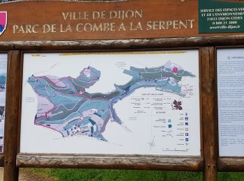 Tour Wandern Dijon - marche gourmande ub - Photo